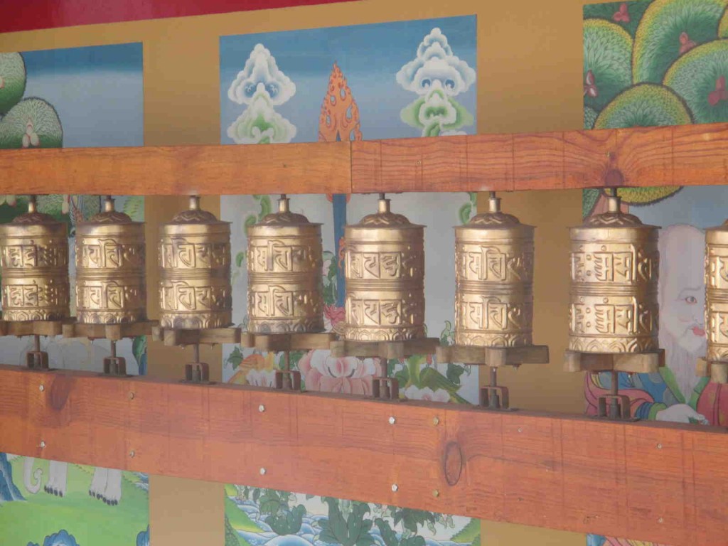 Sakyadrogon11
