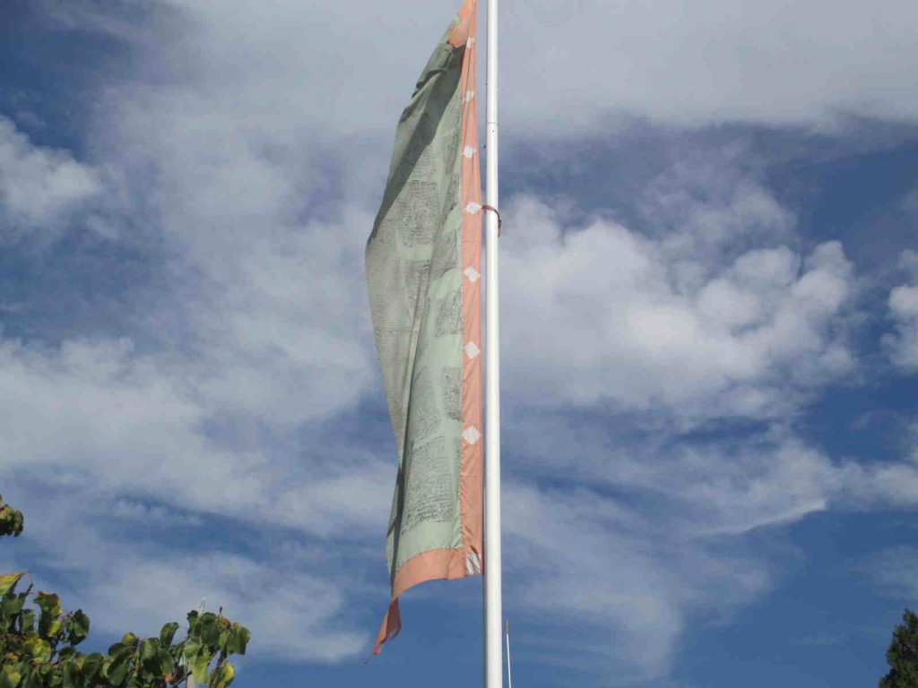 Sakyadrogon25