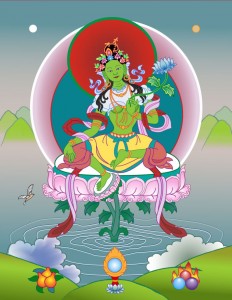                               Tara Verde
