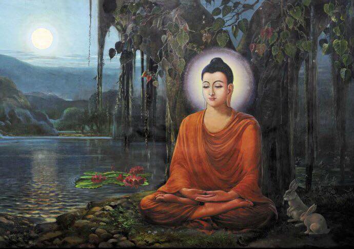 Buda en el bosque