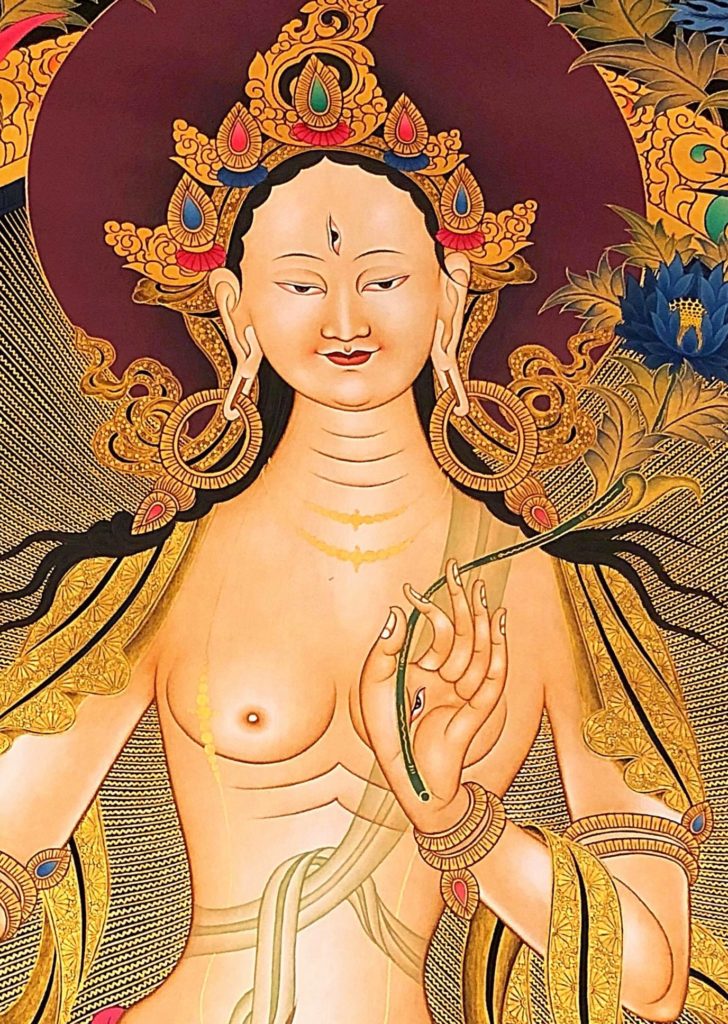 Tara Blanca.