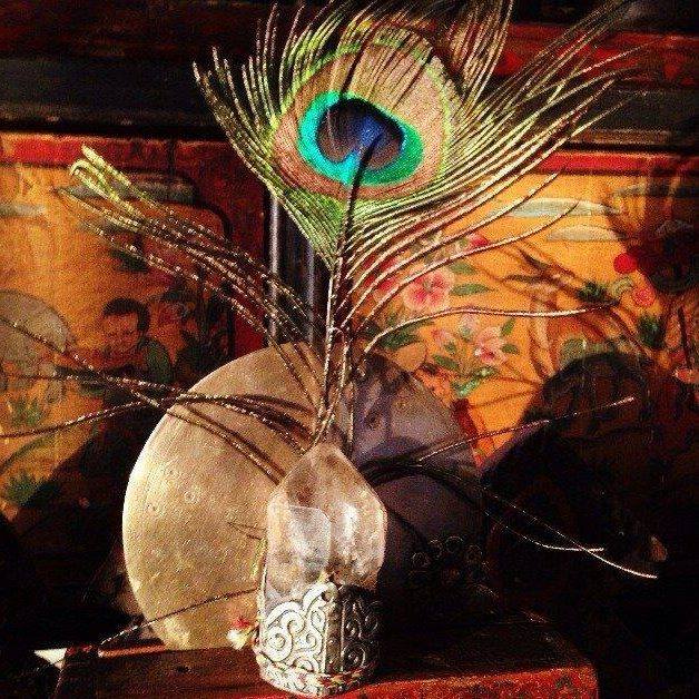 PLUMA DE PAVO REAL.