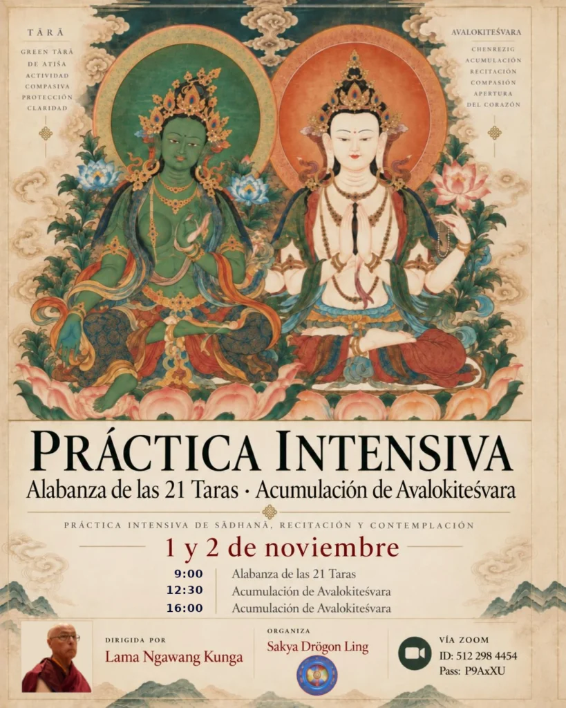 Practia intesiva 21 taras